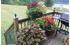 Property photo 28 - REAL ESTATE AUCTION, 163+/- Acres offered in 8 Tracts